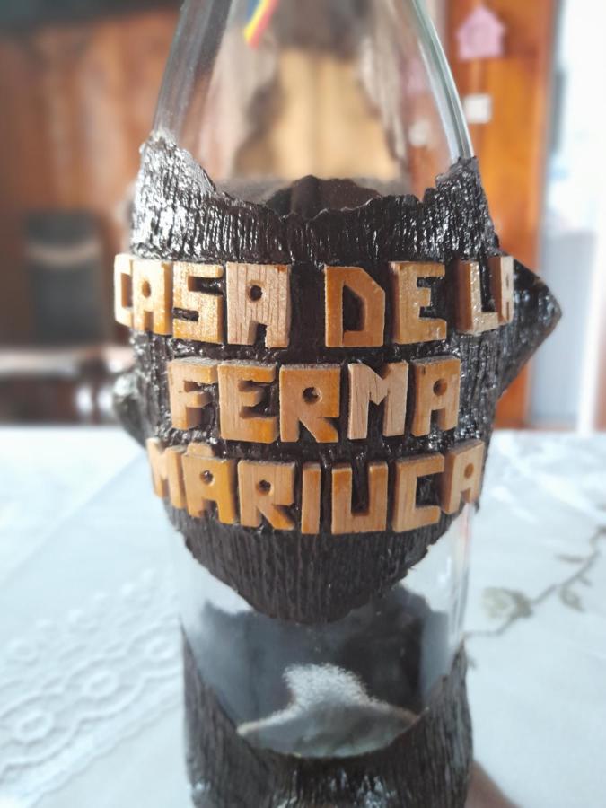 Casa De La Ferma Mariuca Villa Berbesti Ngoại thất bức ảnh