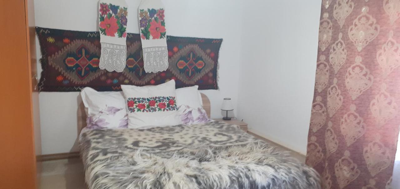 Casa De La Ferma Mariuca Villa Berbesti Ngoại thất bức ảnh